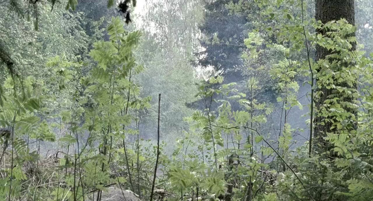 Tali-Ihantala 1944 screenshot 1