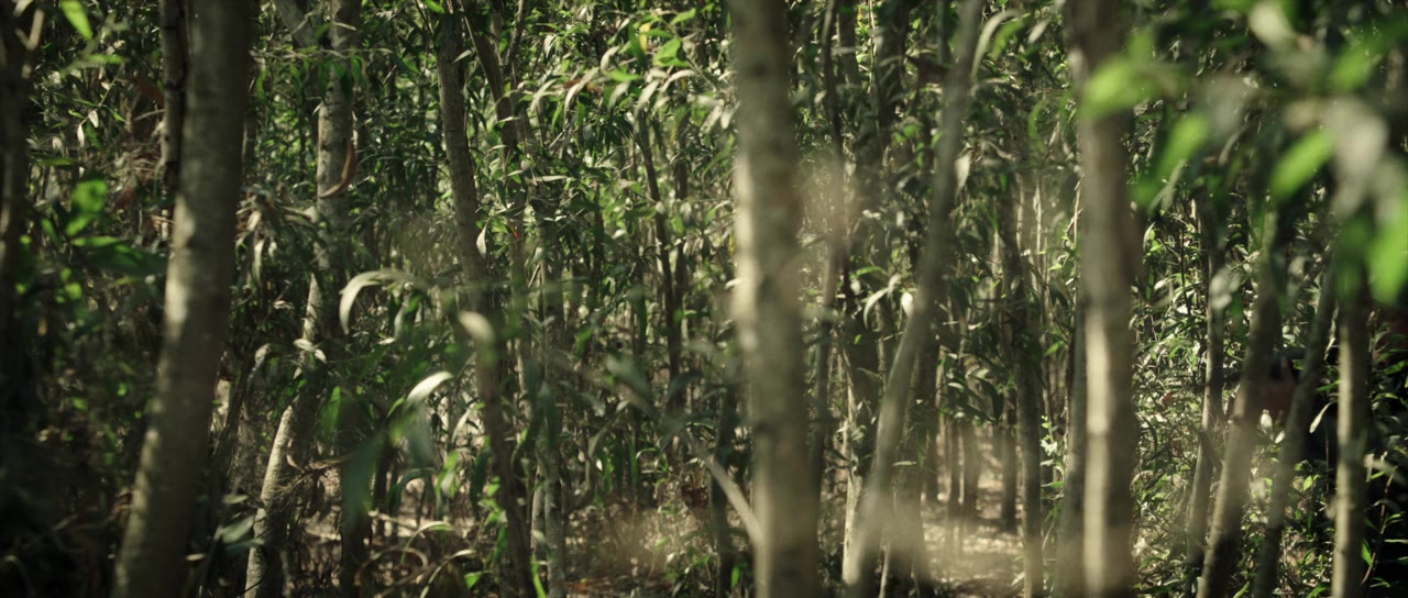 Battle for Saipan screenshot 1