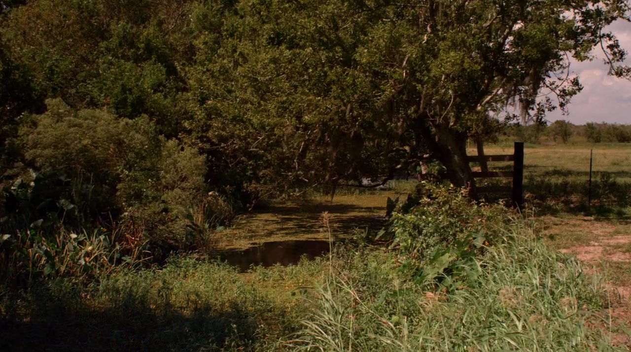 Bayou Blue screenshot 1