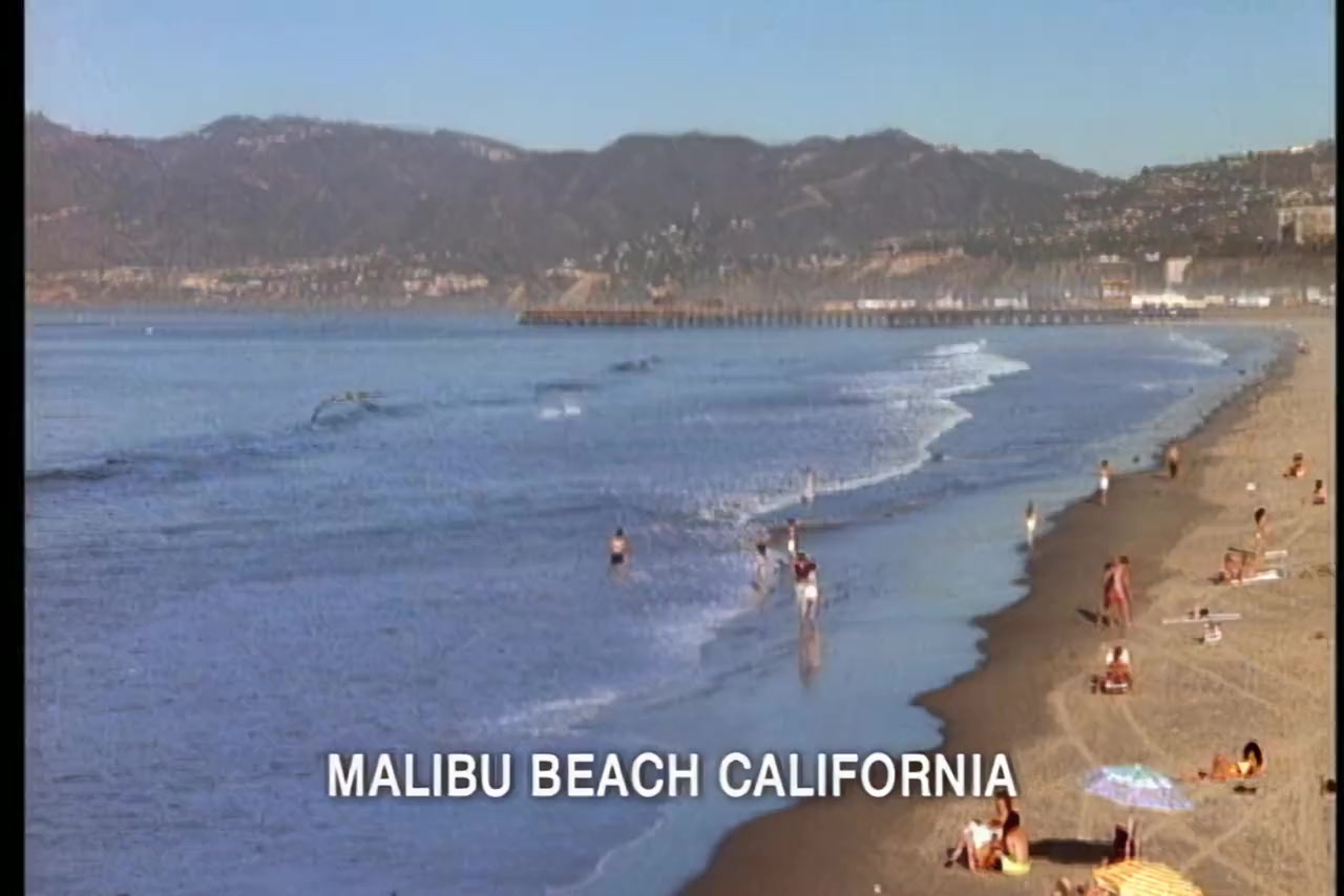 Baywatch: Hawaiian Wedding screenshot 3