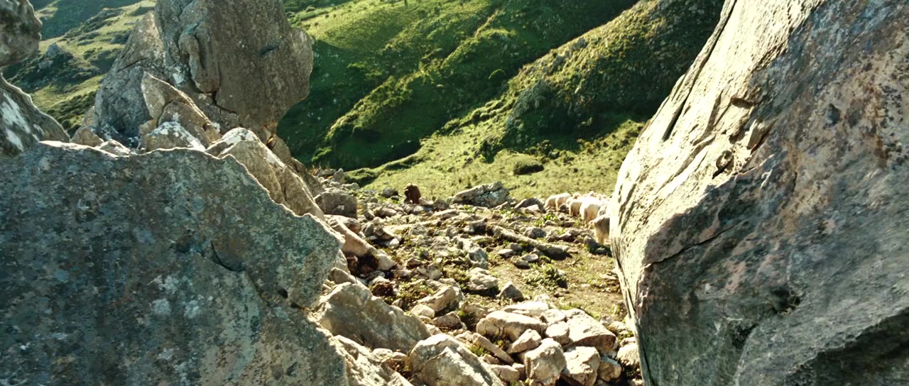 Baarìa screenshot 1