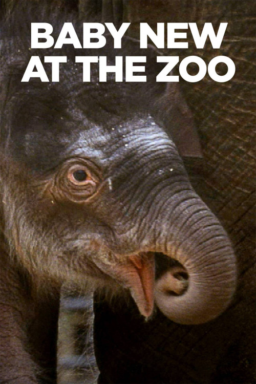 Baby New at the Zoo (2007) poster