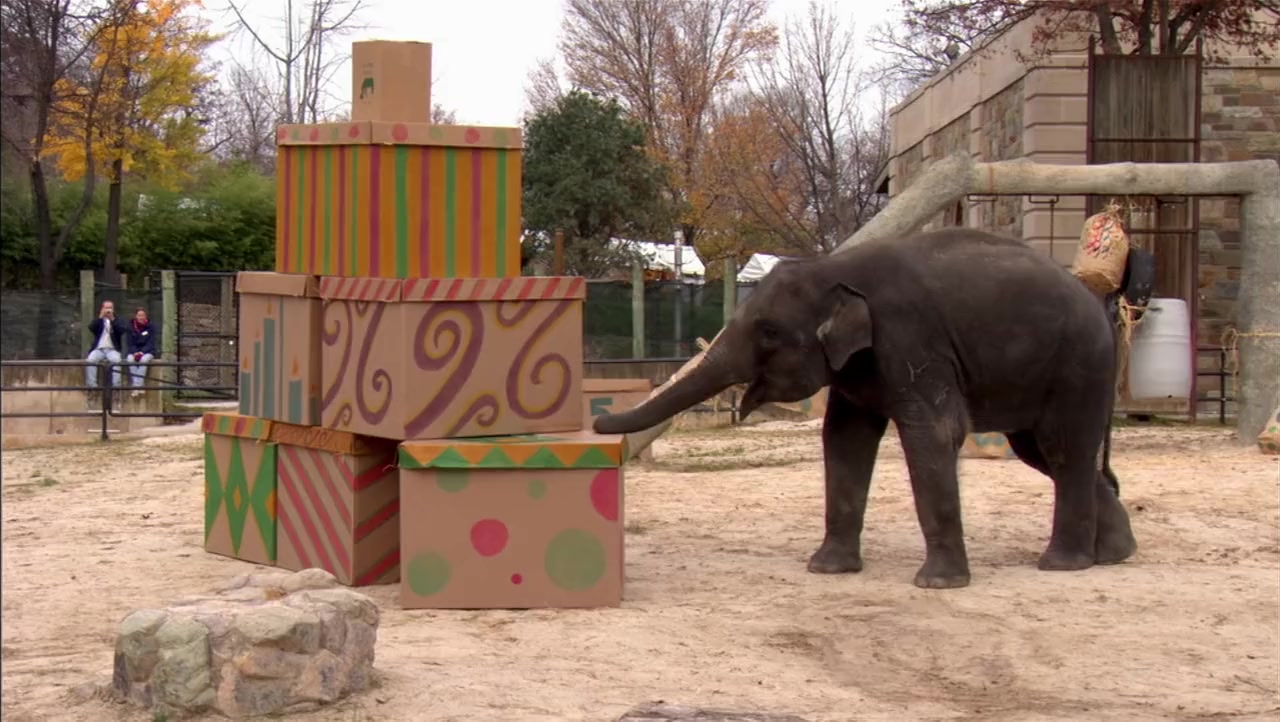 Baby New at the Zoo screenshot 3