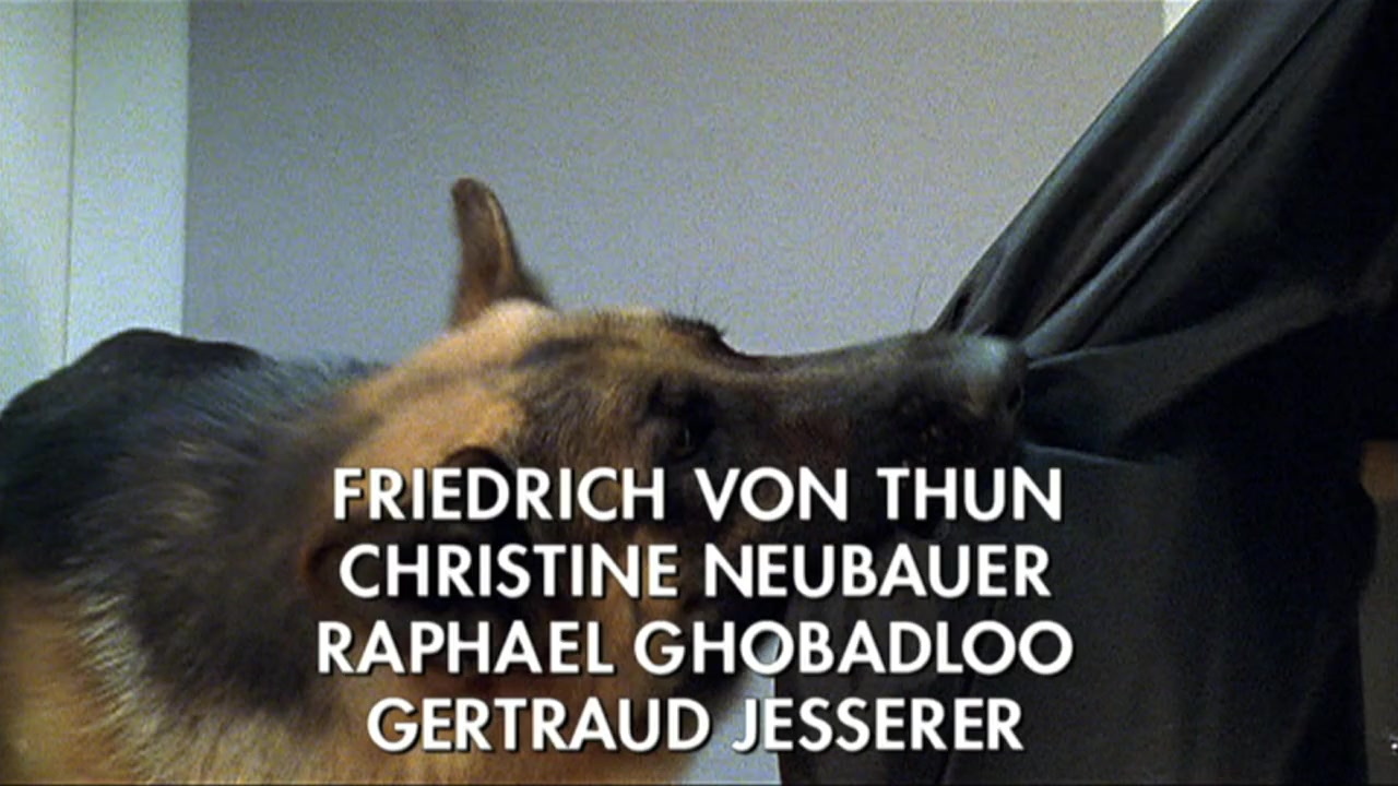 Baby Rex - Der kleine Kommissar screenshot 1