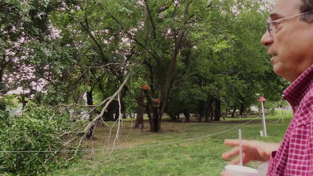 Back to the Drive-In screenshot 1