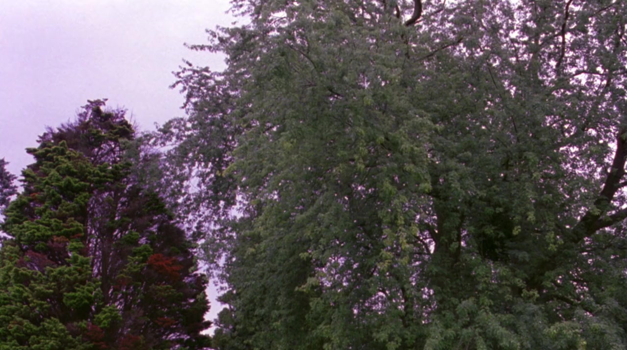 Back to the Secret Garden screenshot 1