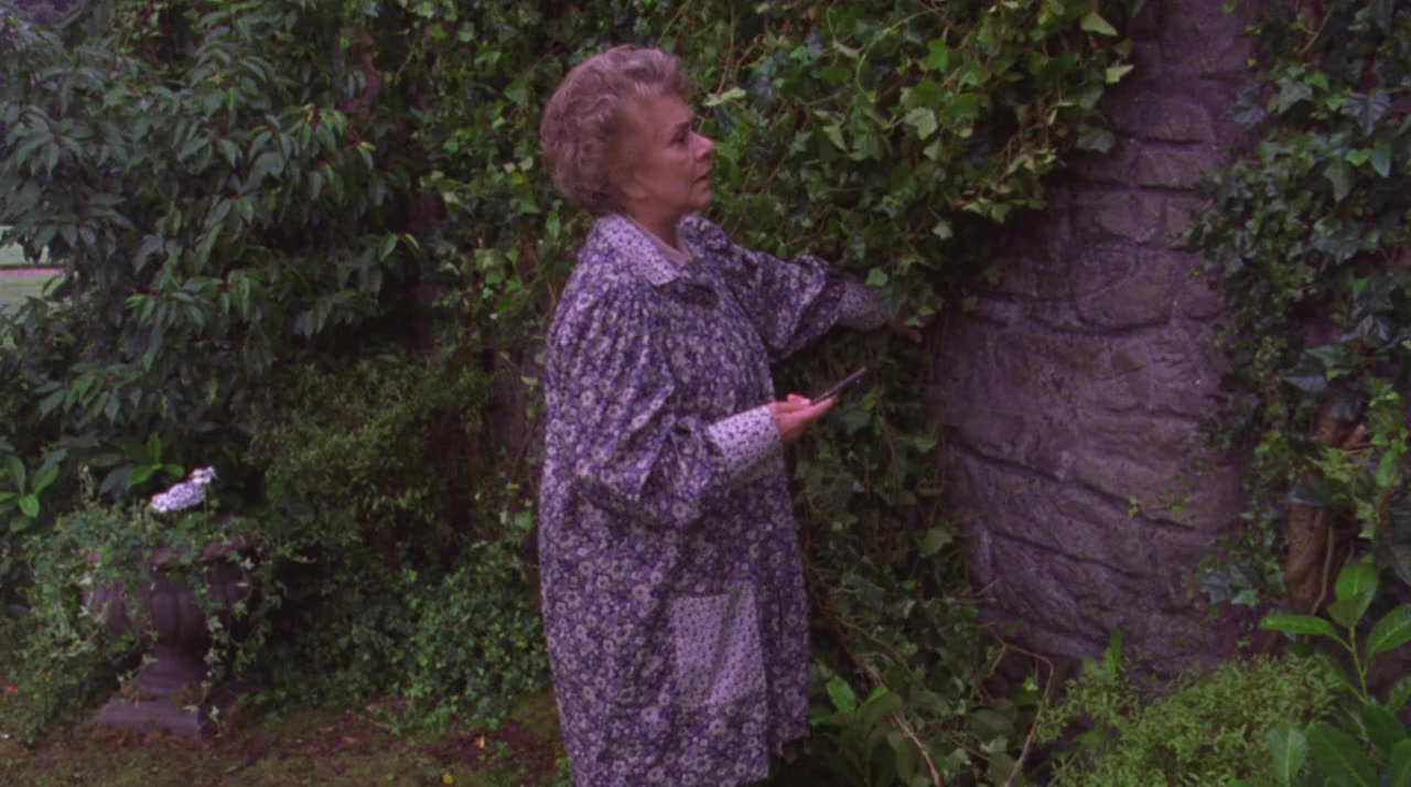 Back to the Secret Garden screenshot 2