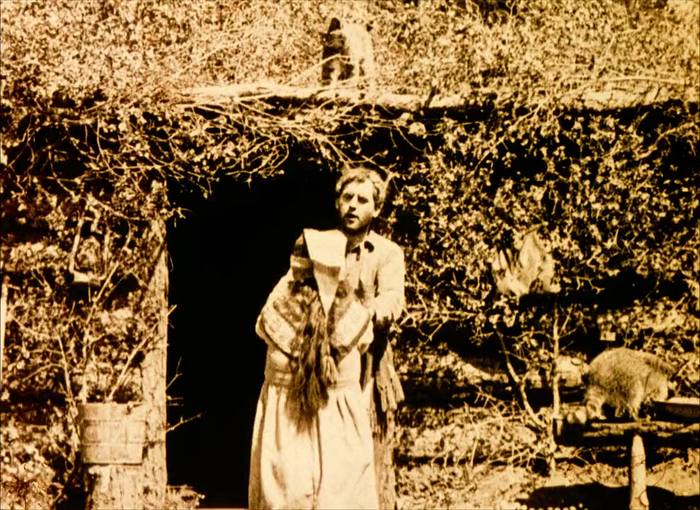 Back to God's Country screenshot 1