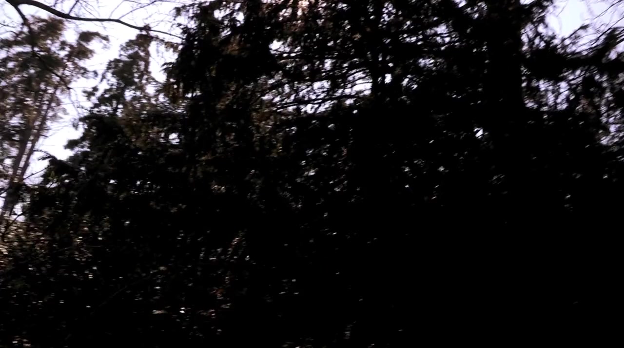 Ex inferis screenshot 1