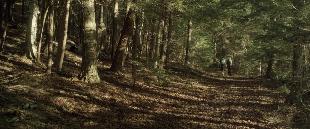 Backcountry screenshot 1