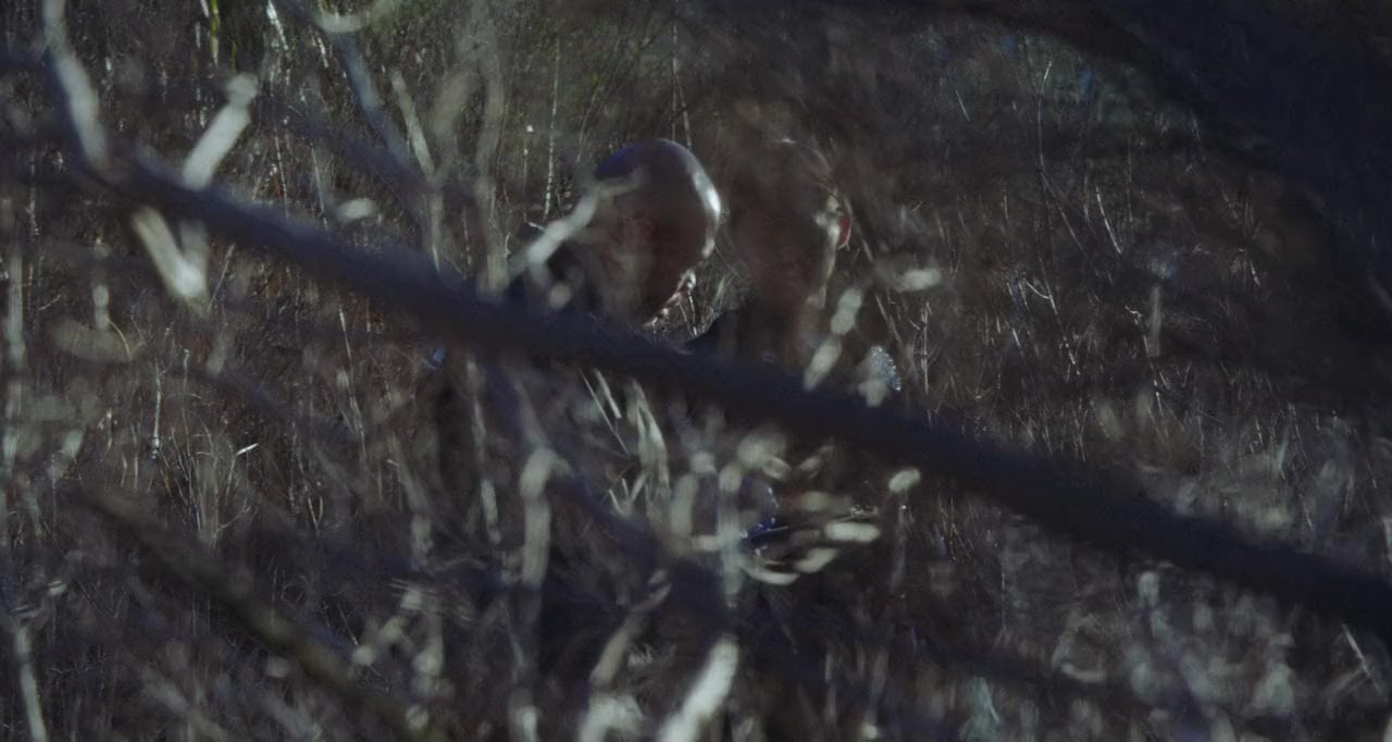 Backtrace screenshot 2