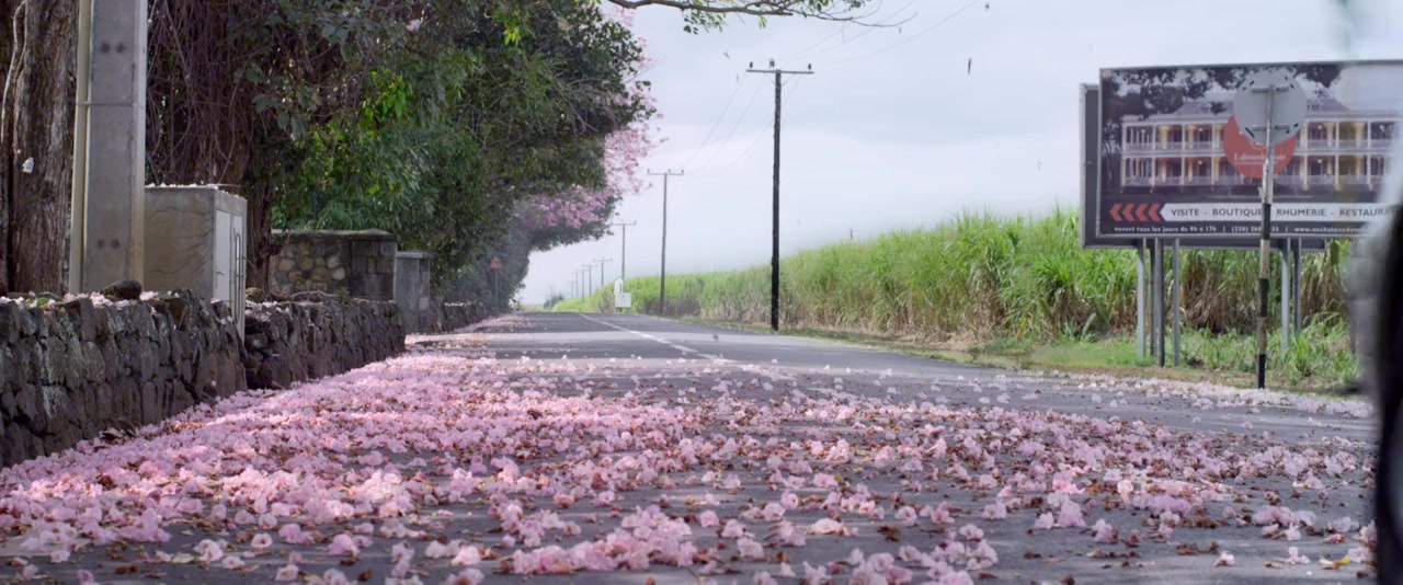 Bachaana screenshot 1