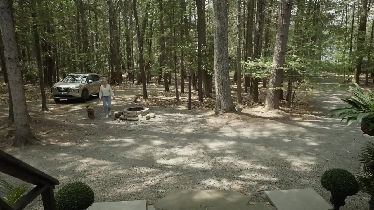 Bunny Killer screenshot 1