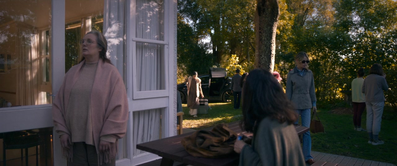 Bad Behaviour screenshot 2