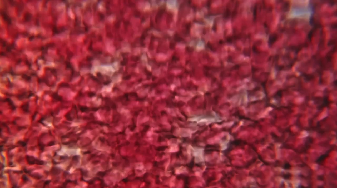 Bad Blood screenshot 3