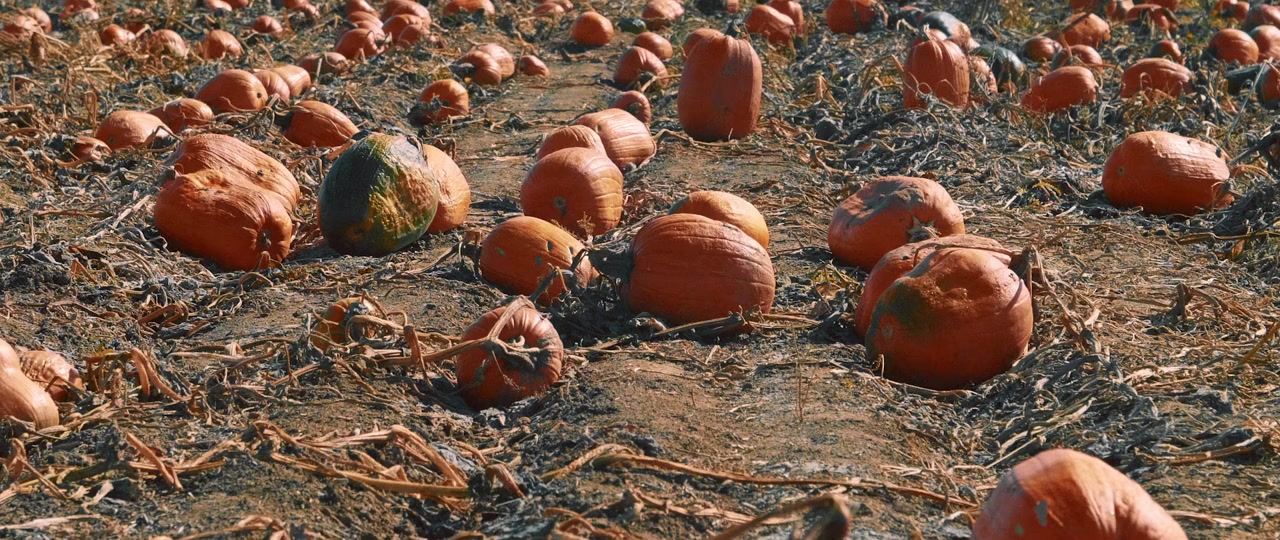 Bad Candy screenshot 1