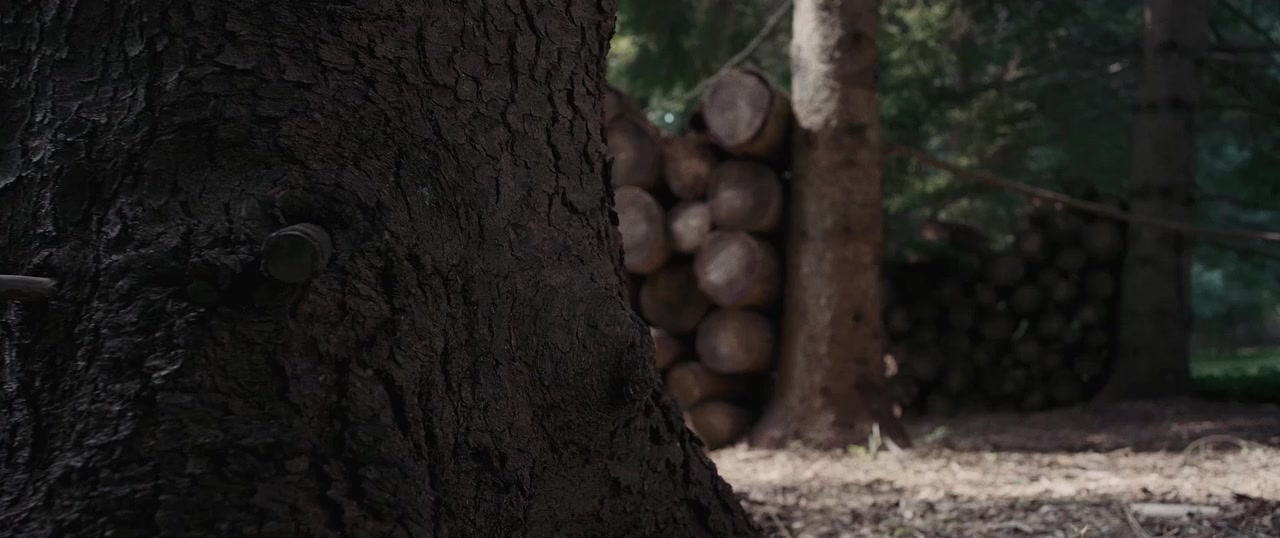 Bad Frank screenshot 2