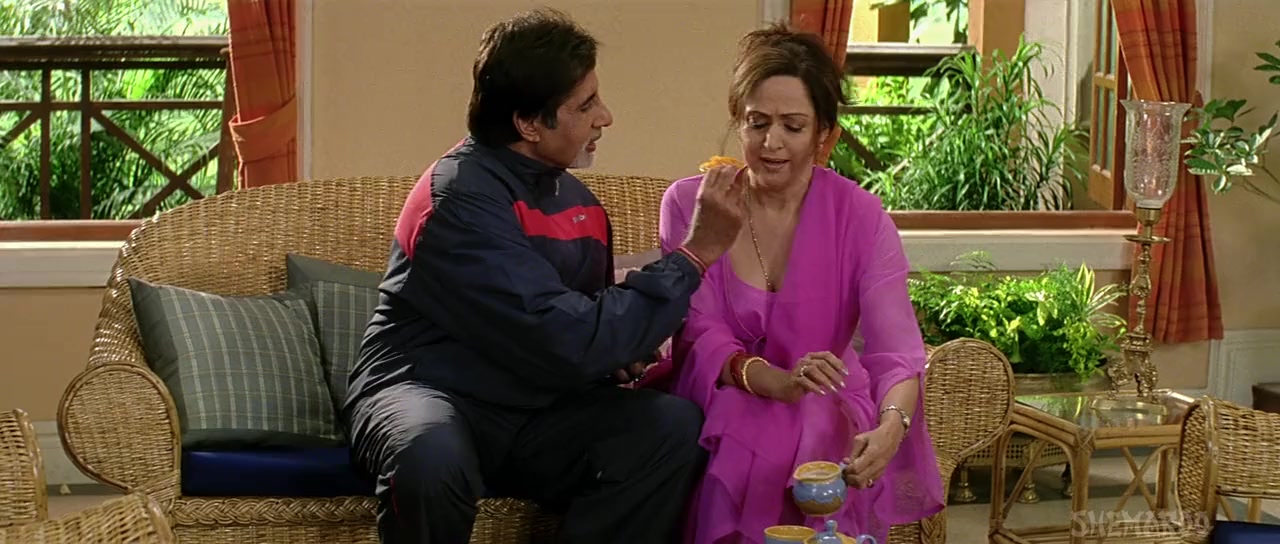 Baghban screenshot 2