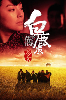 Bai lu yuan (2011) poster
