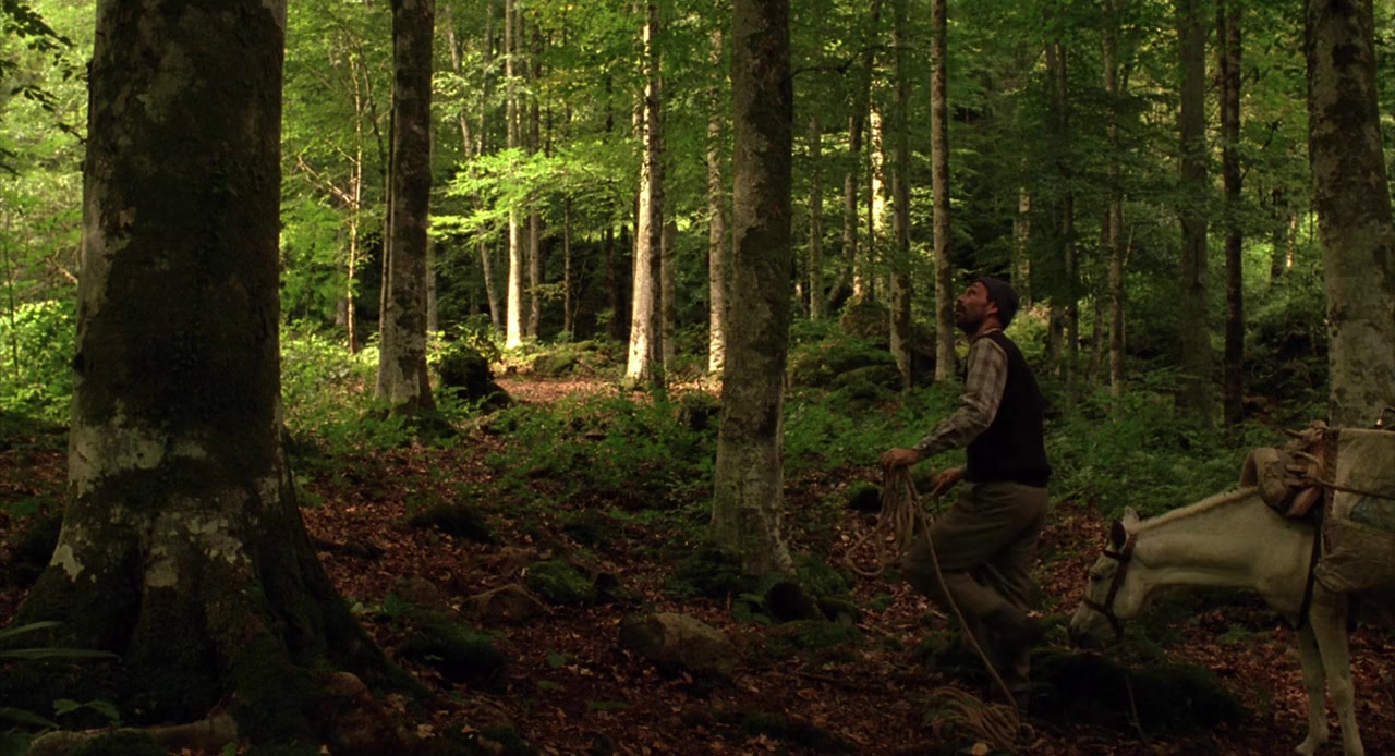 Bal screenshot 3