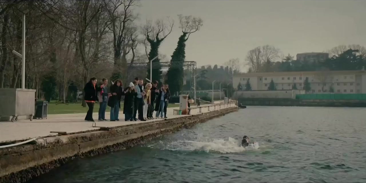 Baldiz screenshot 1