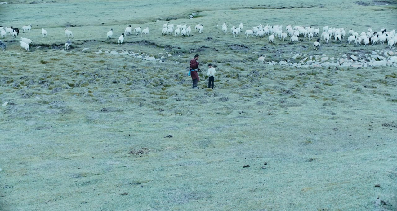 Qi qiu screenshot 1