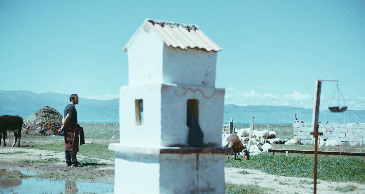 Qi qiu screenshot 2