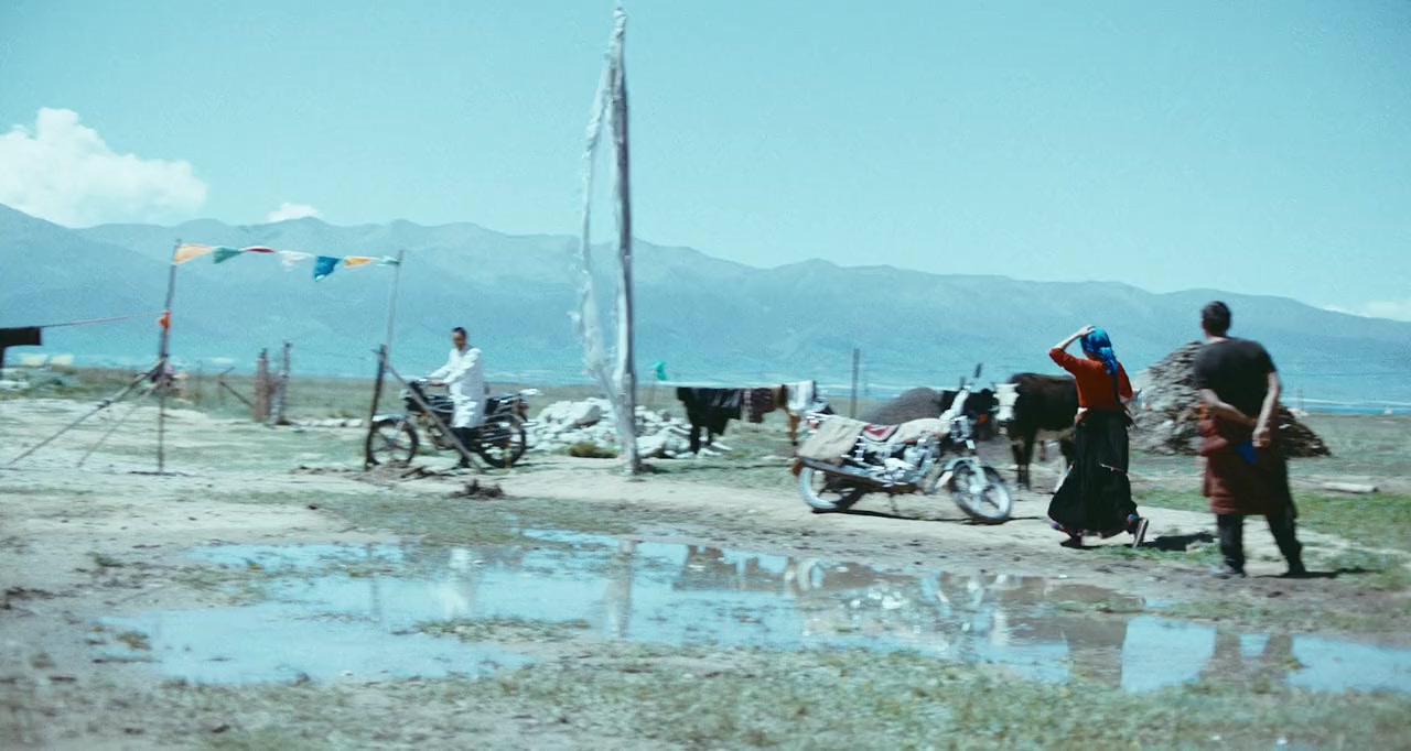 Qi qiu screenshot 3