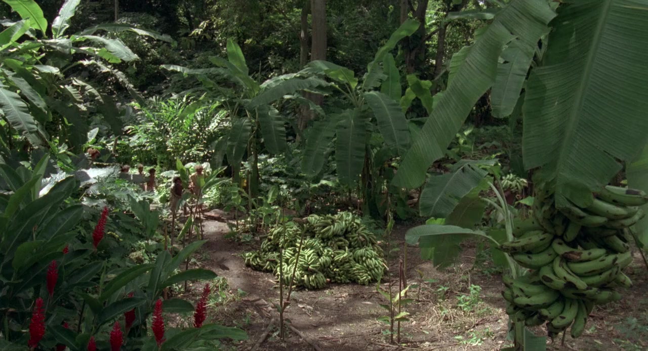 Banana Joe screenshot 2