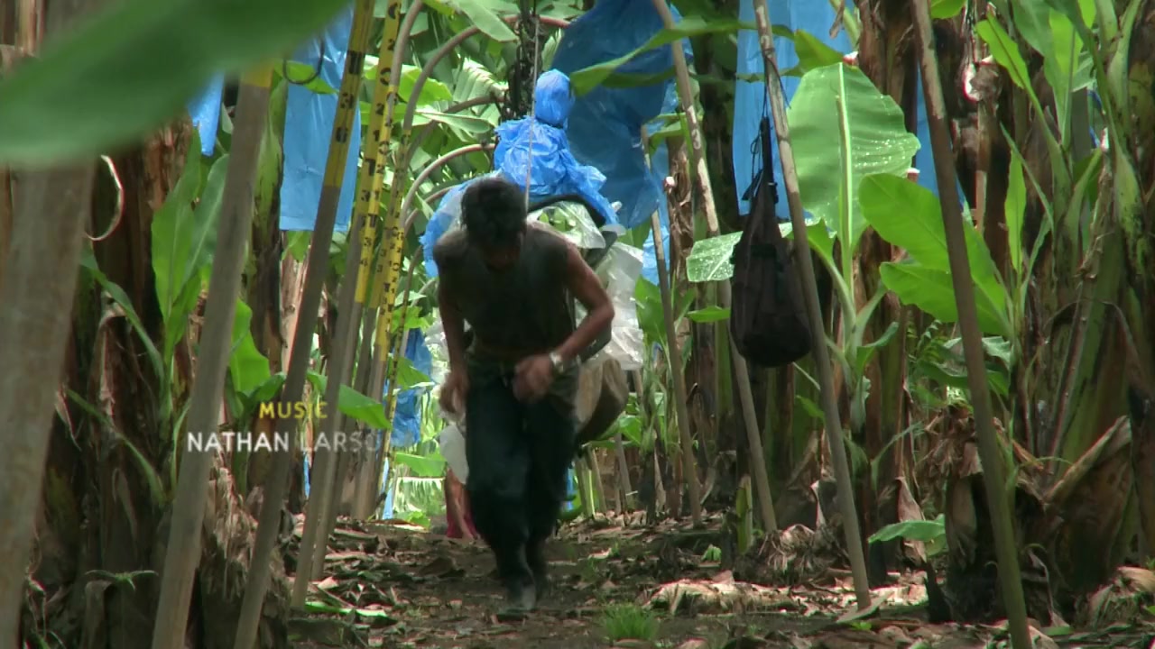 Bananas!* screenshot 3