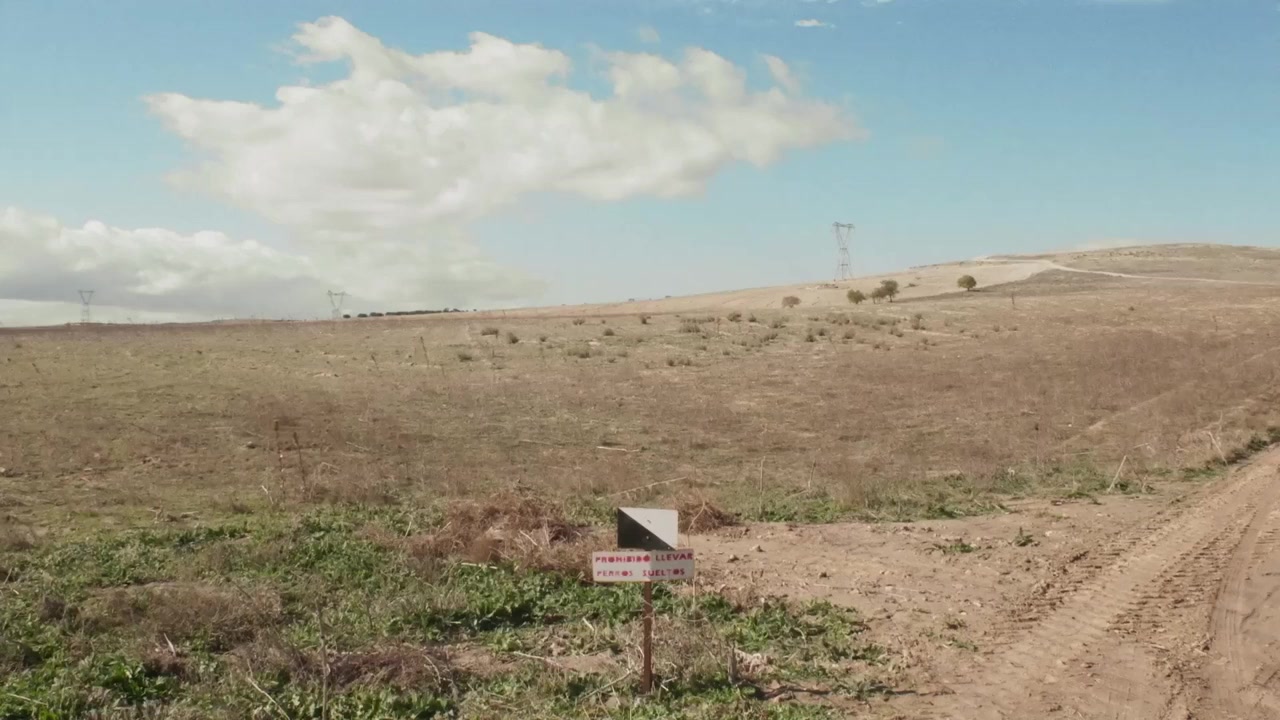 Barataria screenshot 3