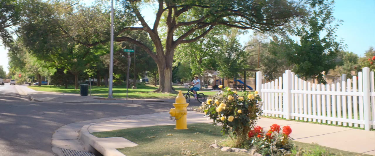 Barb & Star Go to Vista Del Mar screenshot 1