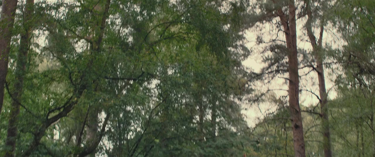 Barbarians screenshot 1