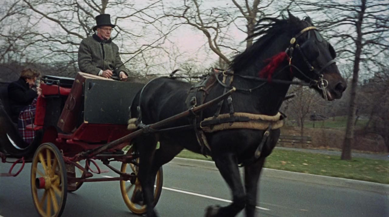 Barefoot in the Park screenshot 1