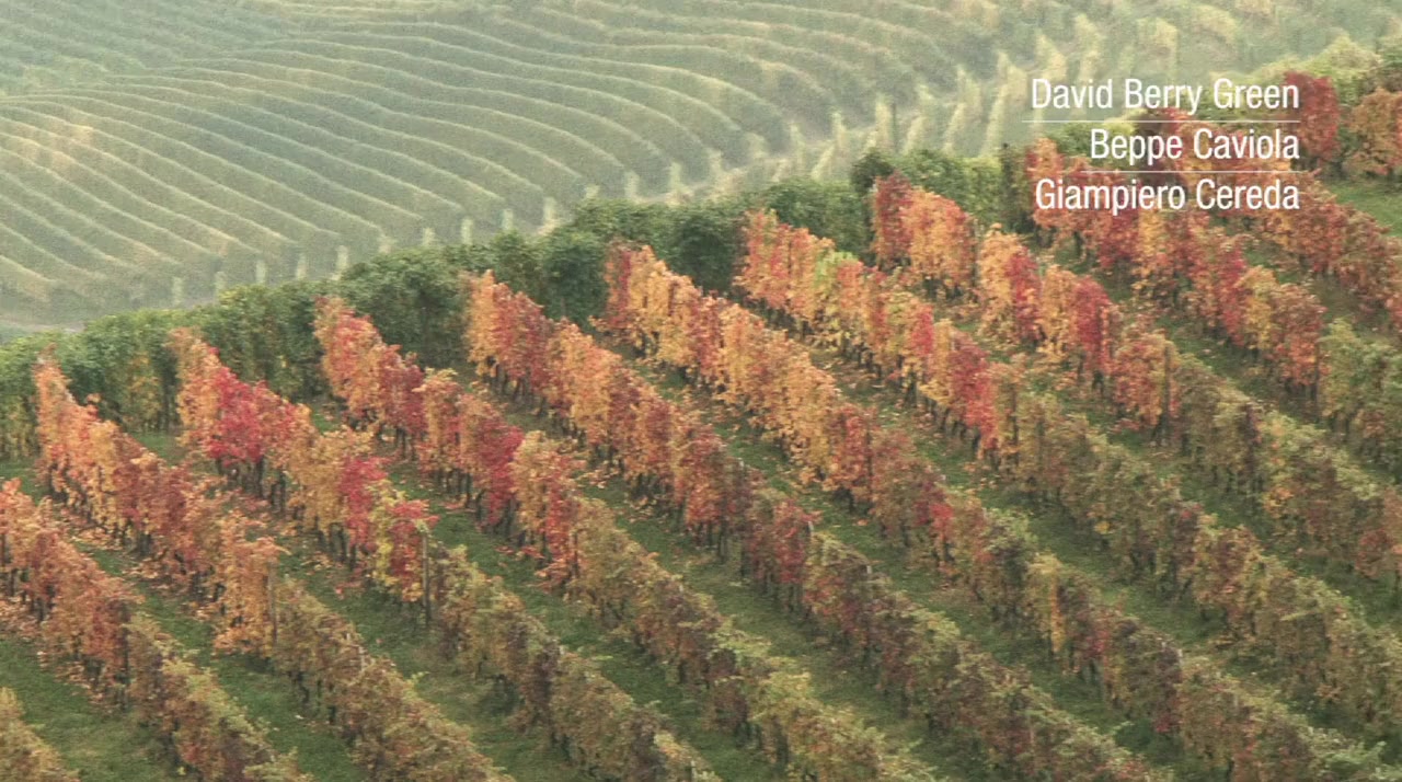 Barolo Boys: The Story of a Revolution screenshot 1