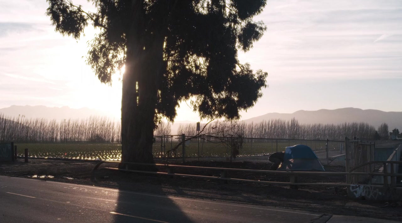 Bastards' Road screenshot 1