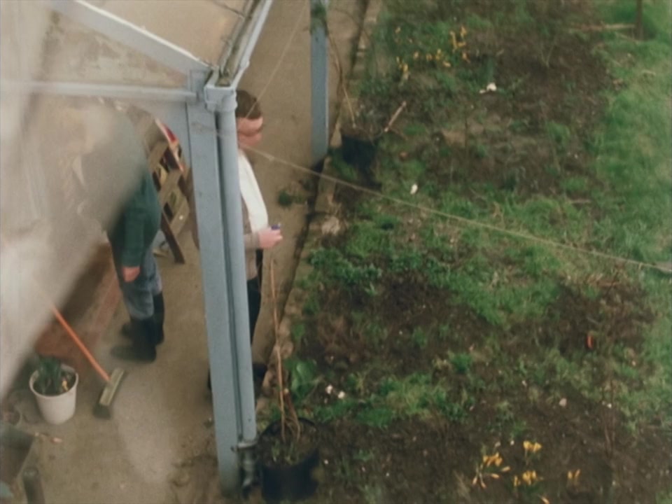 Grown-Ups screenshot 2