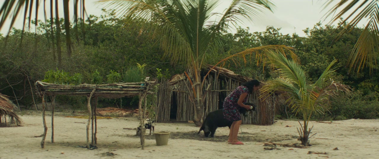 Betânia screenshot 1