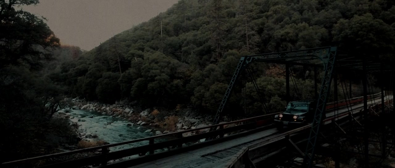 Between the Trees screenshot 2