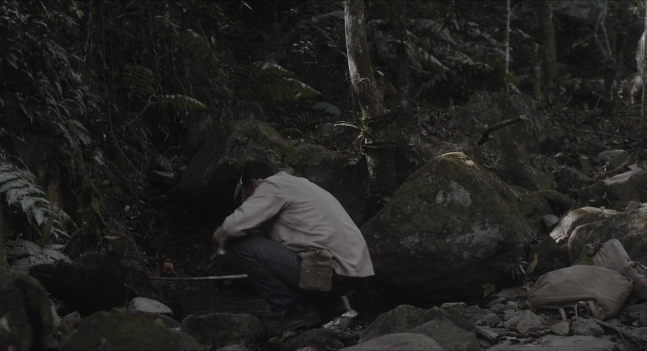 Entre perro y lobo screenshot 2