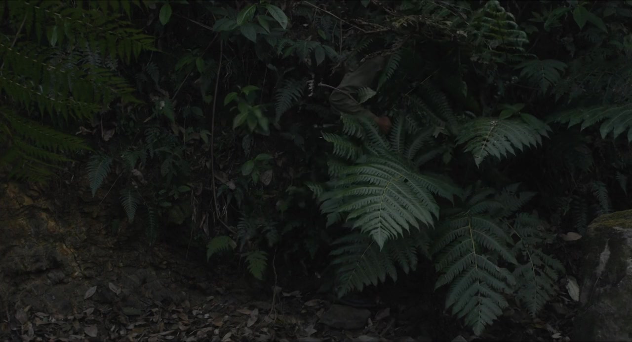 Entre perro y lobo screenshot 3