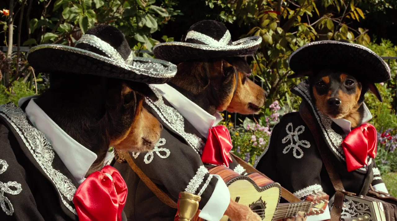 Beverly Hills Chihuahua 3: Viva La Fiesta! screenshot 2