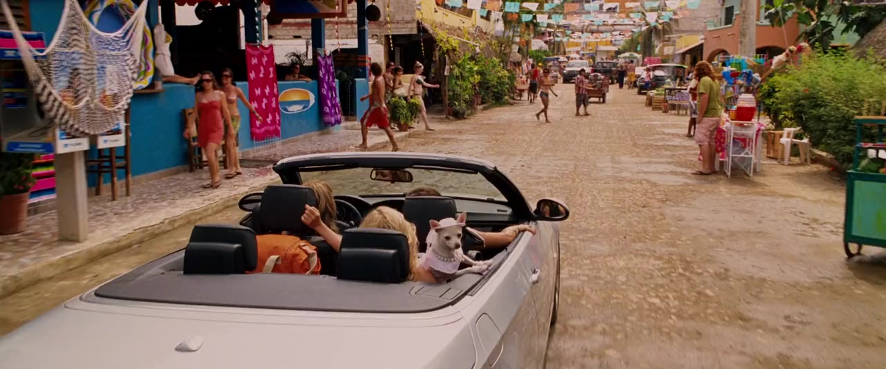 Beverly Hills Chihuahua screenshot 3