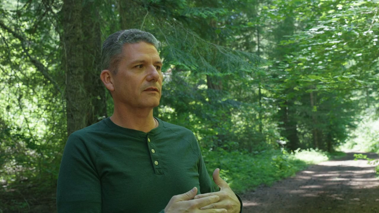 Beyond Disclosure: The Corey Goode Files screenshot 3