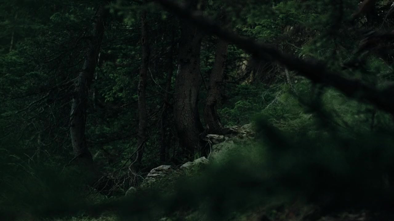 Beyond Prognosis screenshot 3