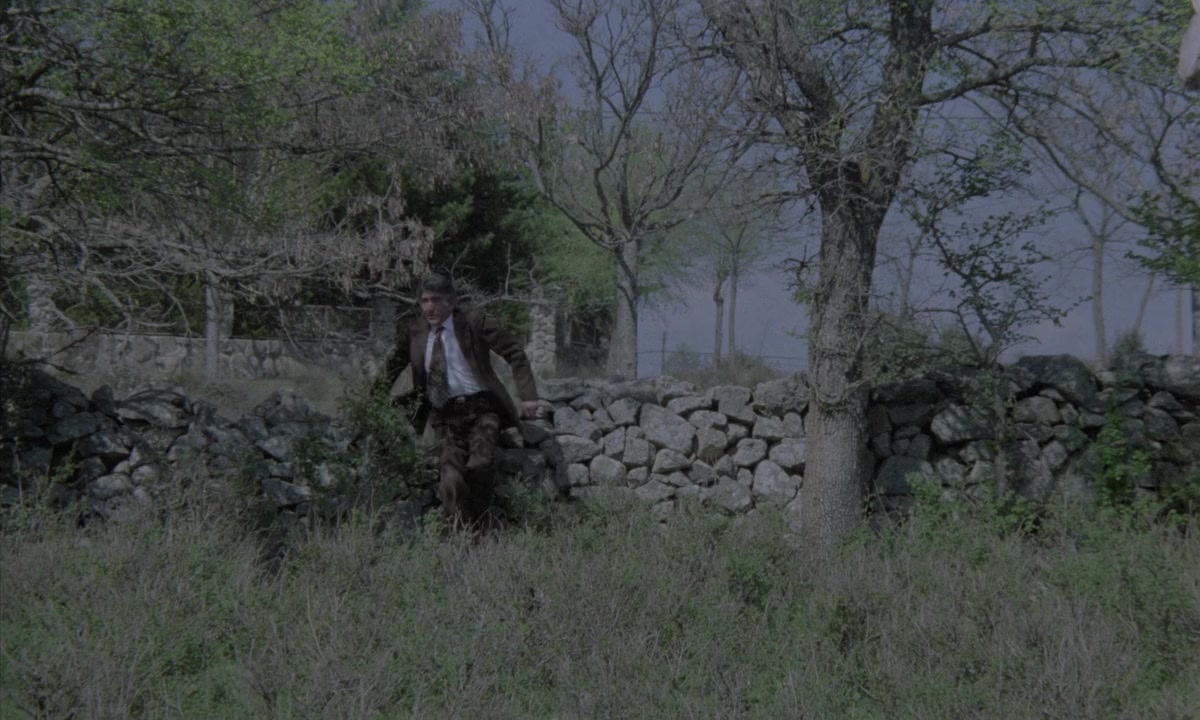 Más allá del terror screenshot 1