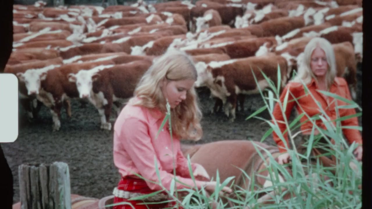 Beyond the Gaze: Jule Campbell's Swimsuit Issue screenshot 3