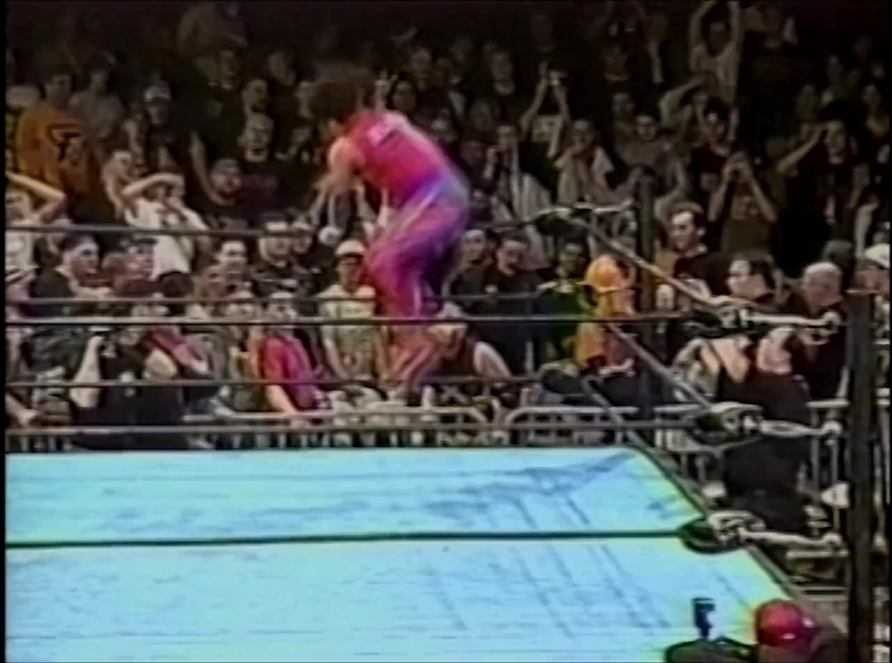 Beyond the Mat screenshot 2