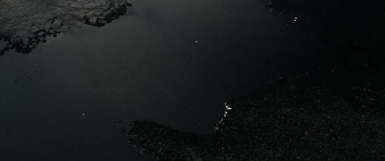 Beyond the Noise screenshot 2