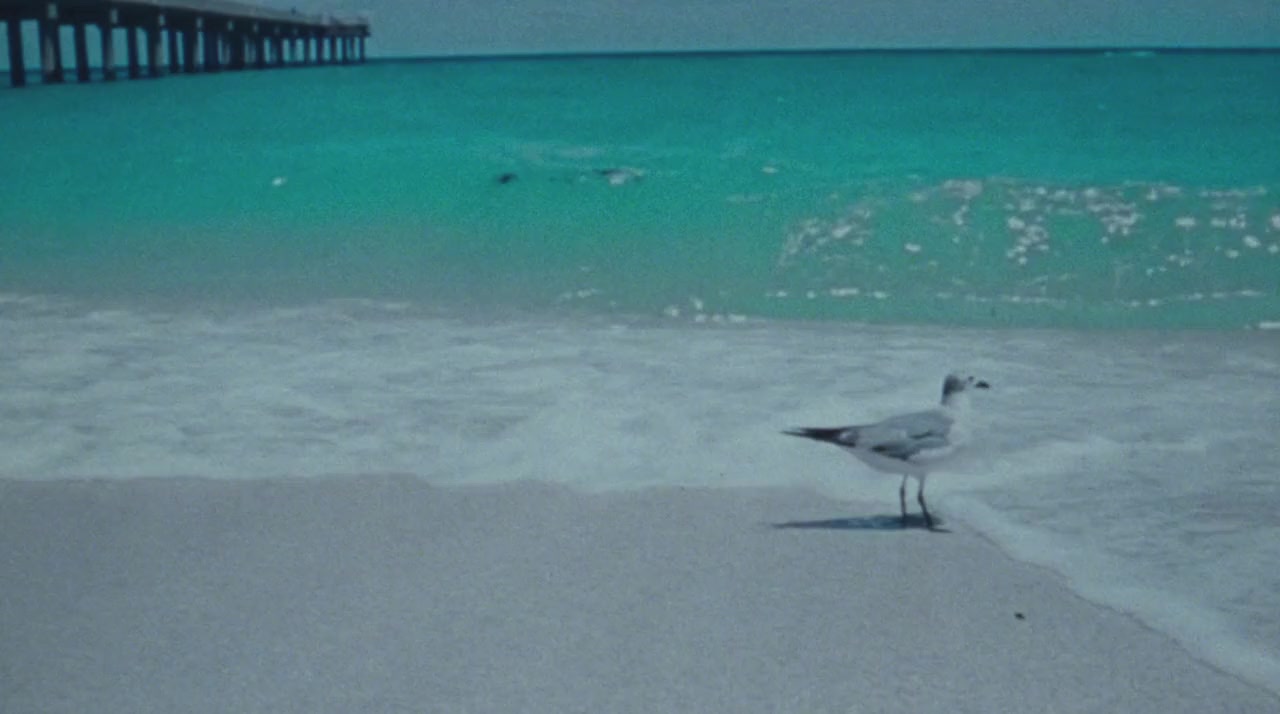 Beach Rats screenshot 3